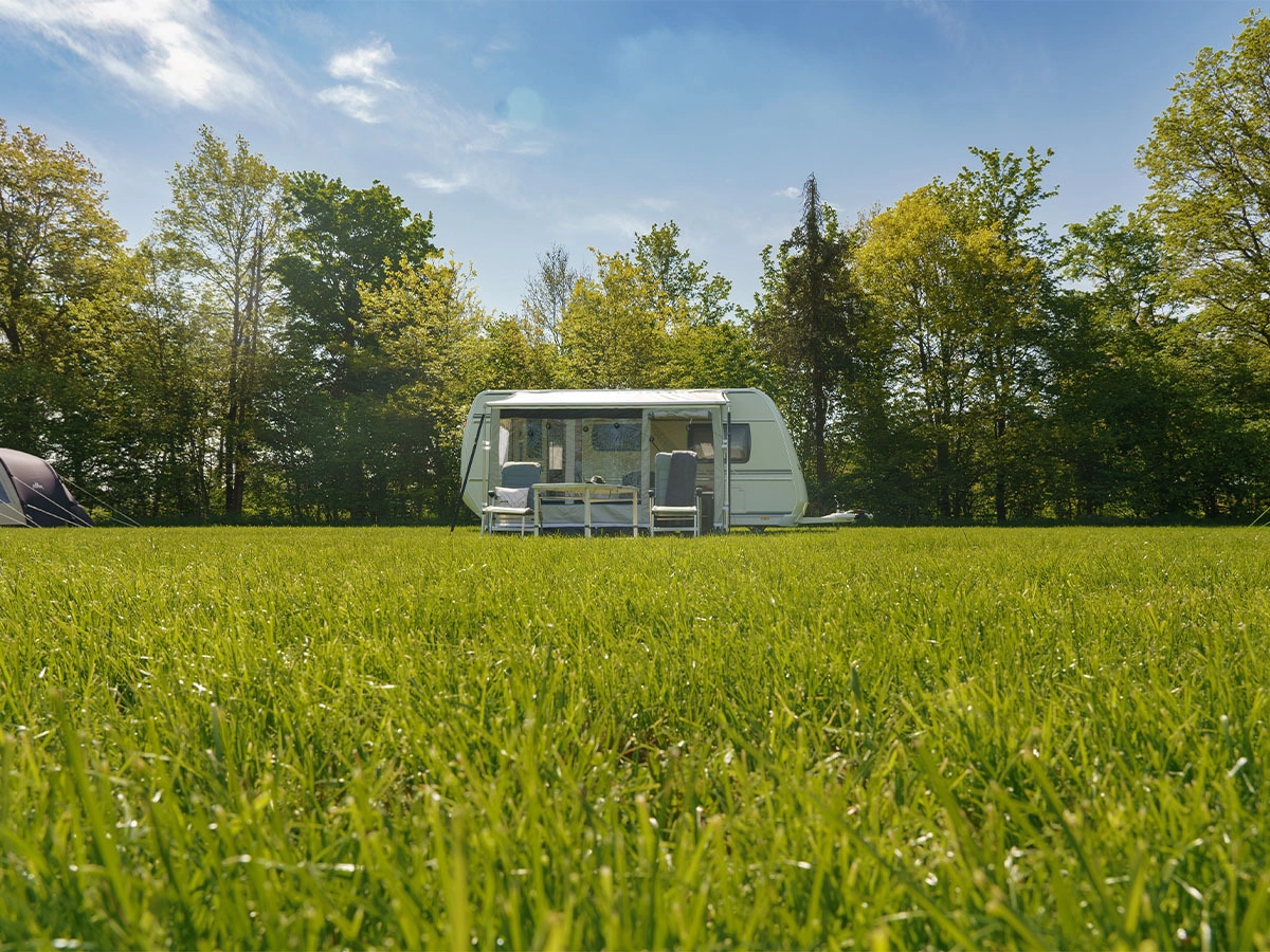 Obelink Queen Markisenvorzelt - 380