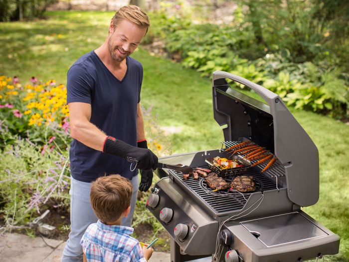 Weber spirit e310 grill discount