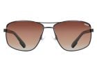 Sinner Brandon X Sonnenbrille