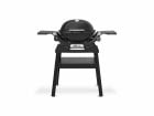 Weber Q 1200N Stand-Gasgrill