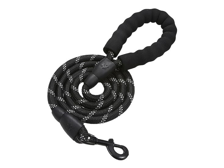 All 4 Pets Supply Reflektierende Hundeleine - 3 Meter