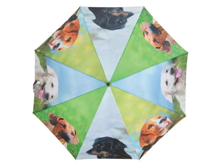 Hunde Regenschirm