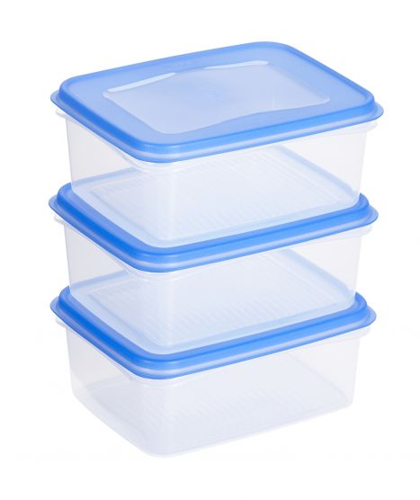 Sunware Club Cuisine 1,2 Liter Transparentes blaues Gefrierbox-Set