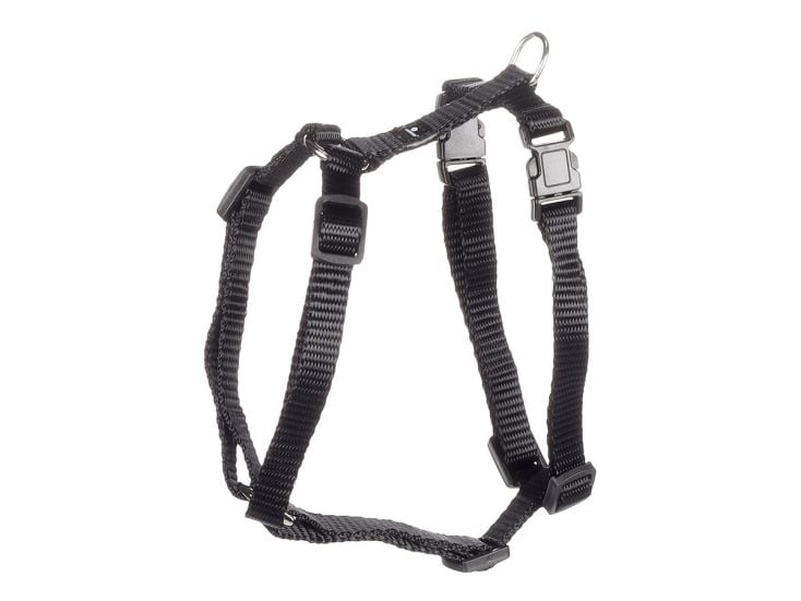 Flamingo Ziggi Black Hundegeschirr - XS