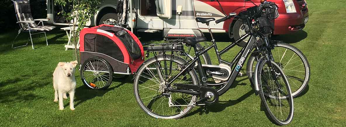 Hund mit auf dem Fahrrad