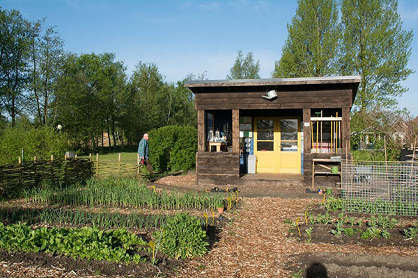 obstpfluecken auf dem campingplatz